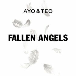 Cover of Fallen Angels