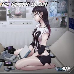 Cover of Nie Wieder Lieben