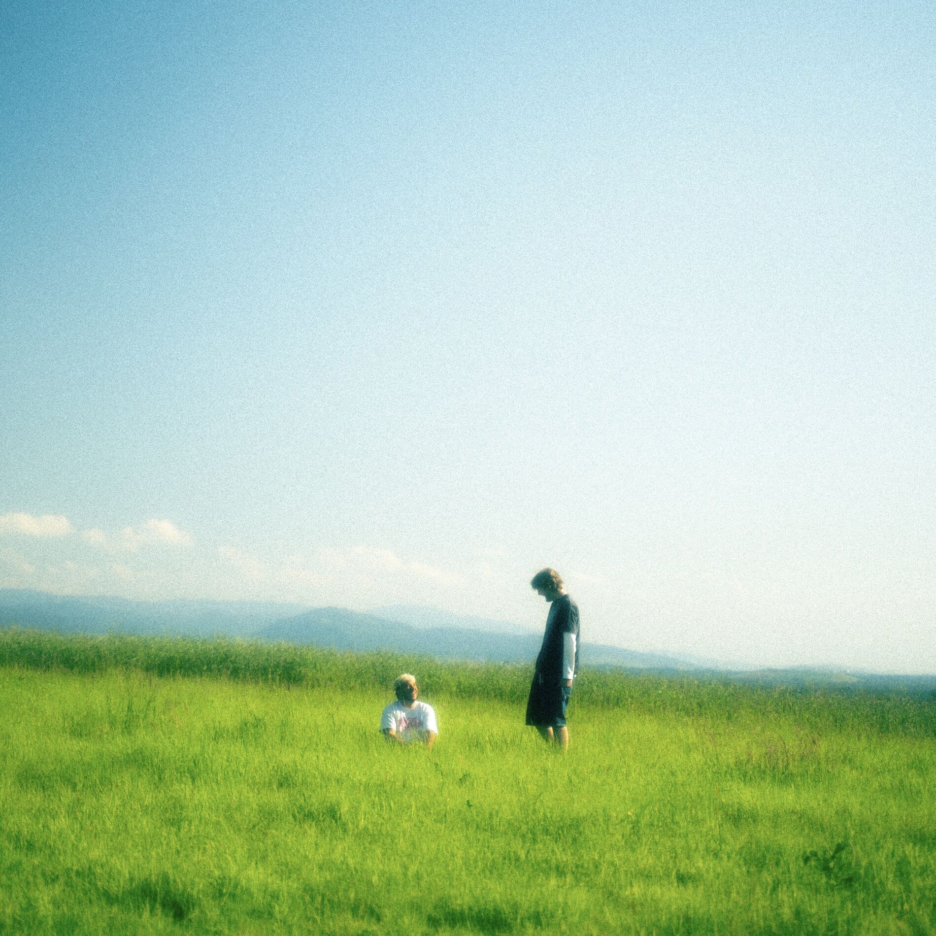 Album cover of Herz