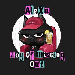 Cover of Joy of Missing Out