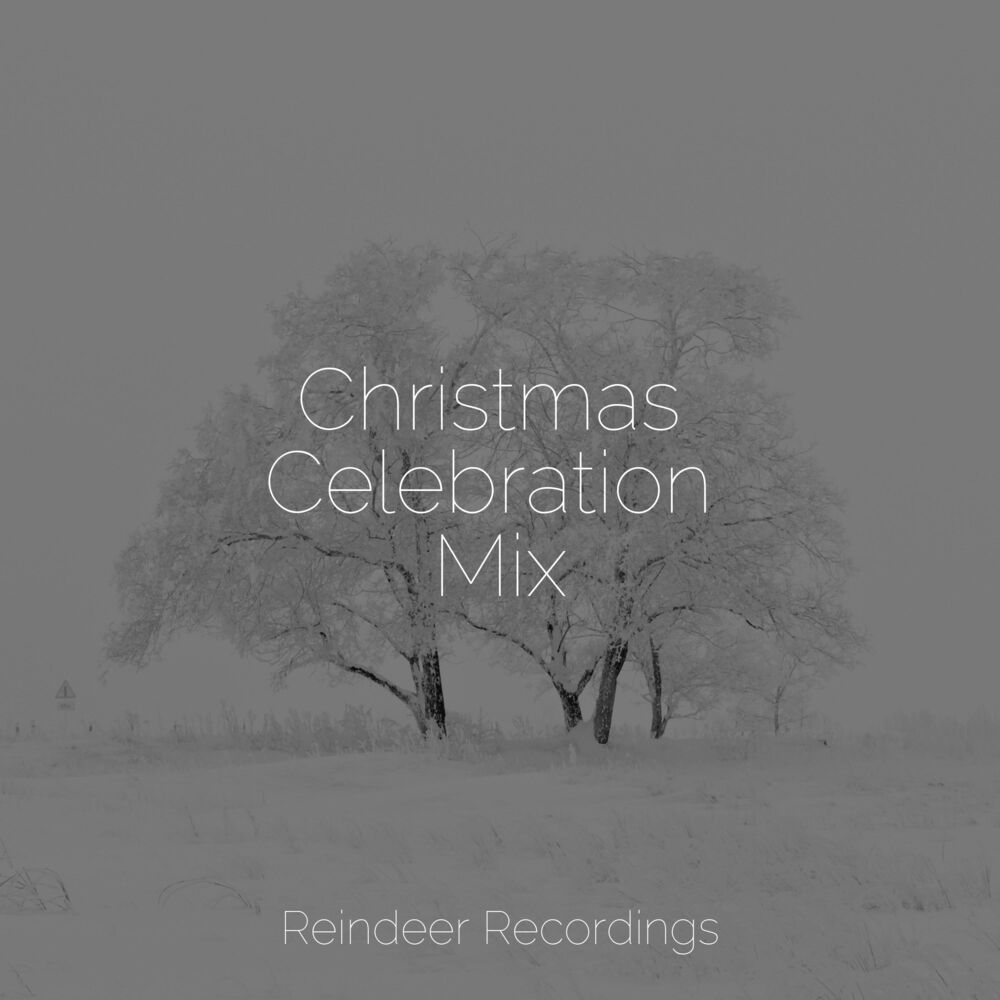 Picture of Christmas Celebration Mix
