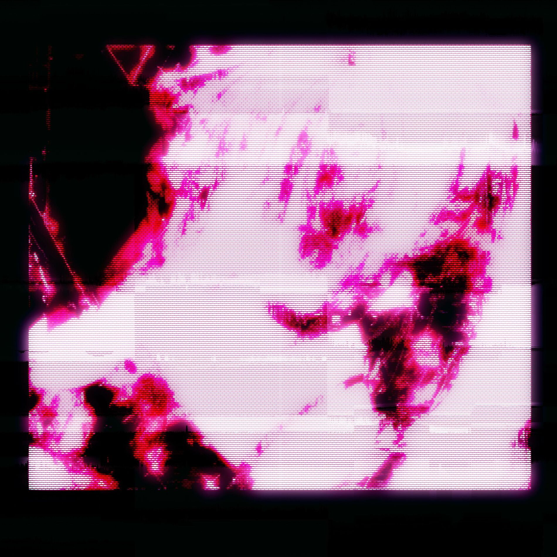 Album cover of WASTE