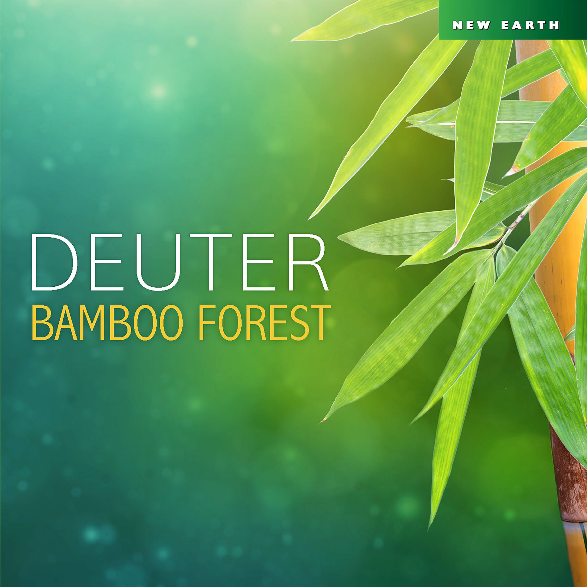 Album cover of Bamboo Forest