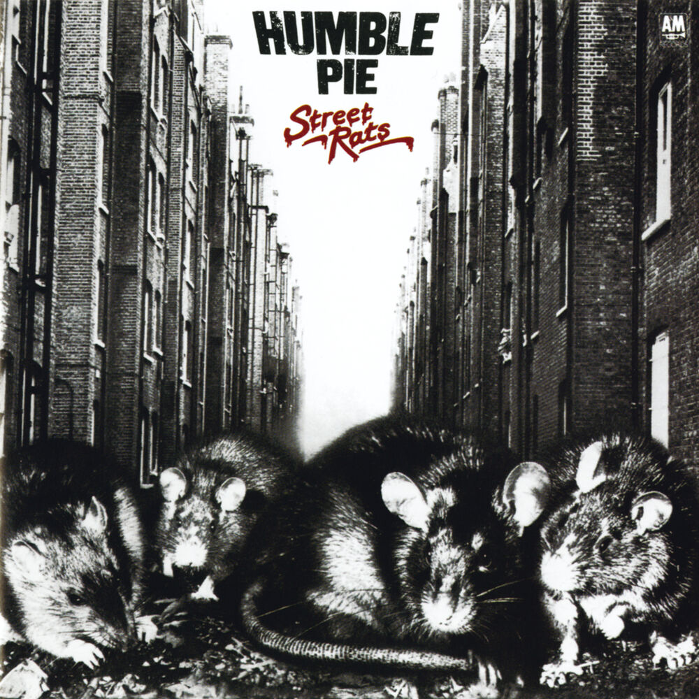 Picture of Street Rats