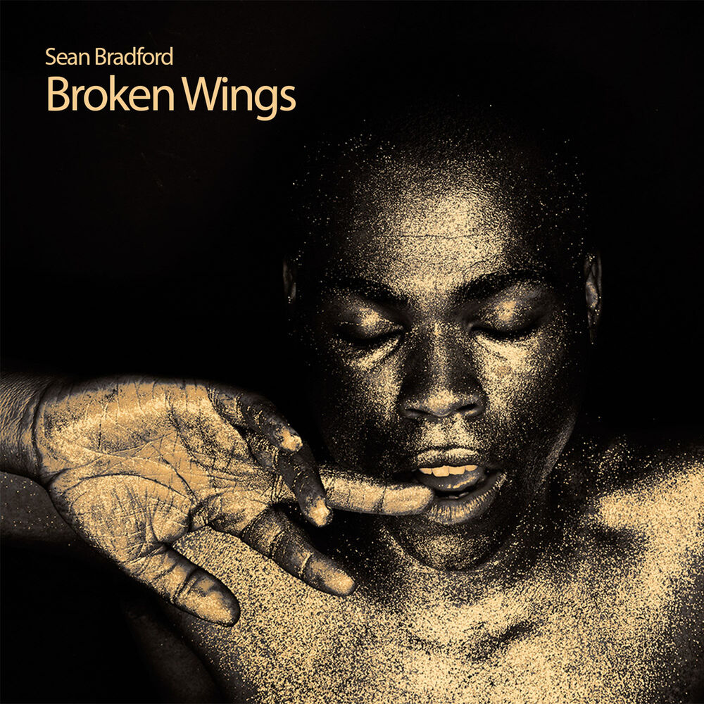 Picture of Broken Wings