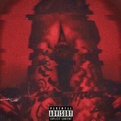 Cover of A Vivid Picture