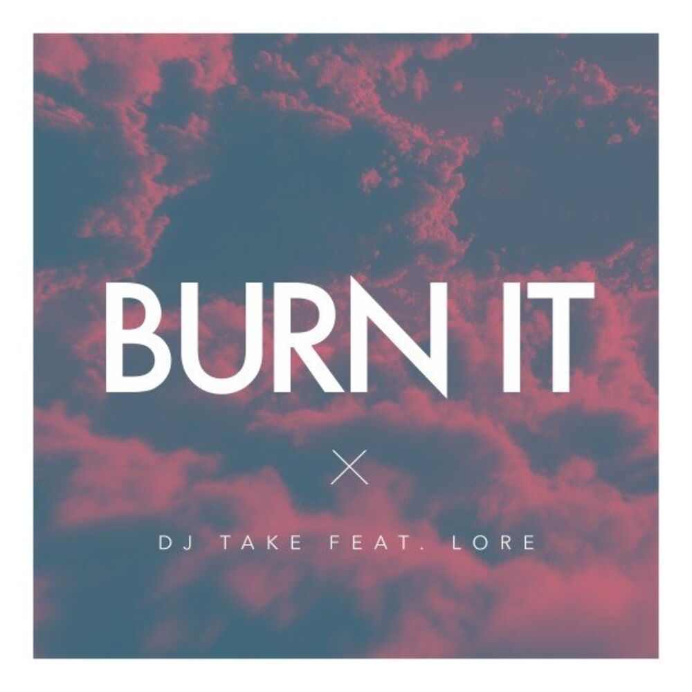 Picture of Burn It