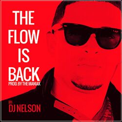 Cover of The Flow Is Back