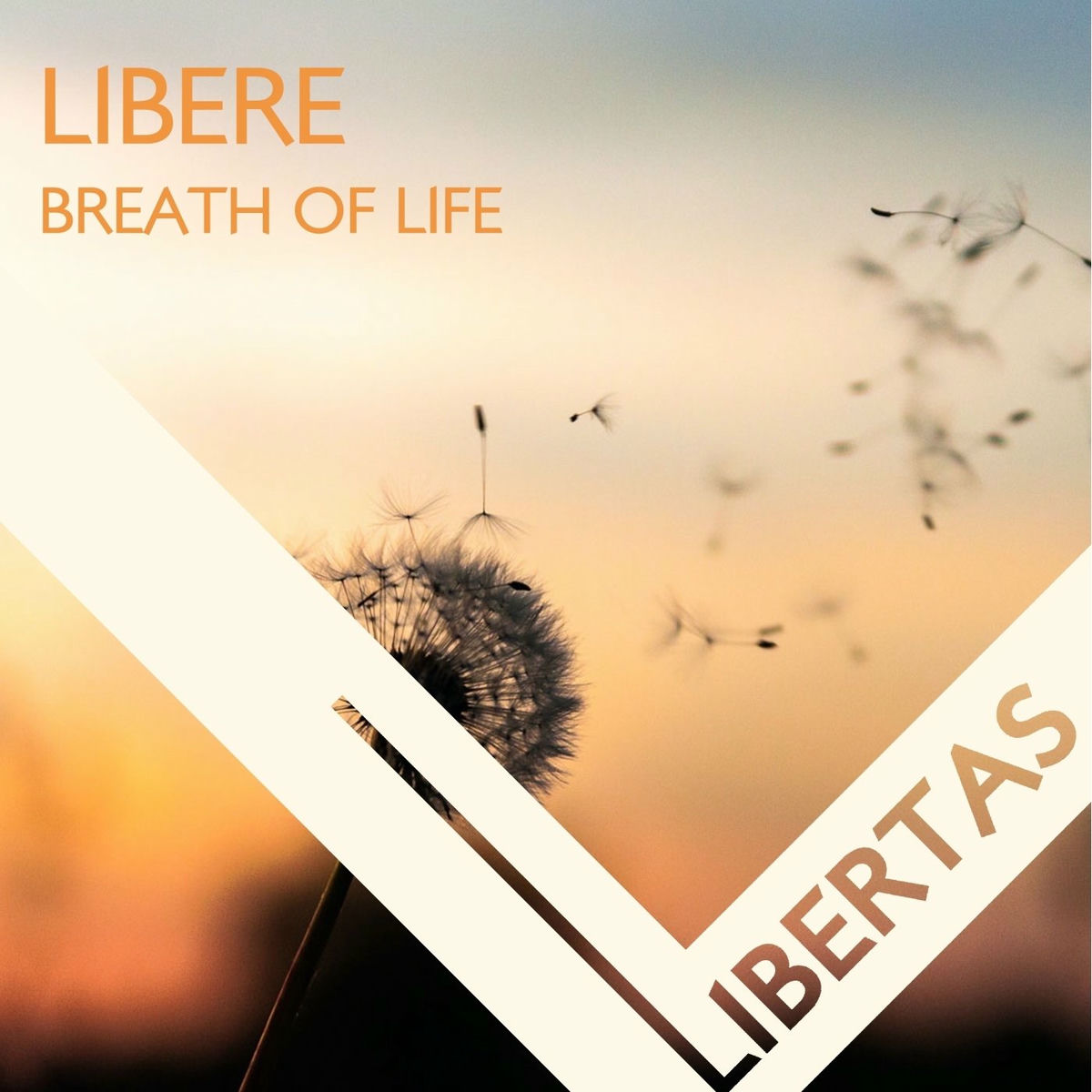 Album cover of Breath Of Life