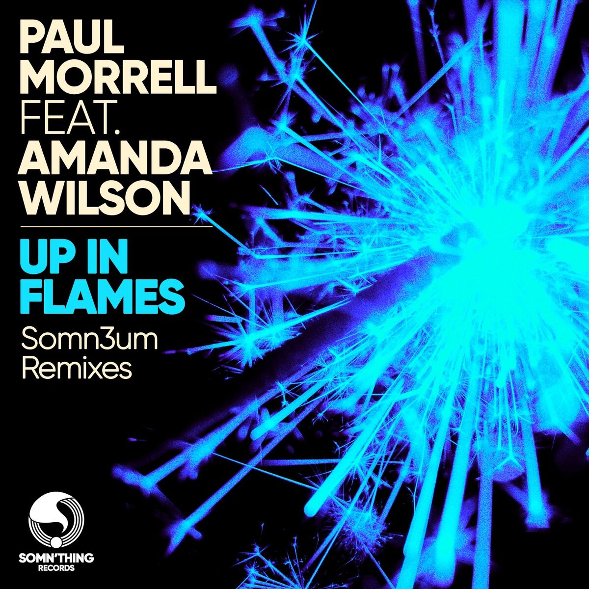 Album cover of Up in Flames (Somn3um Remixes)