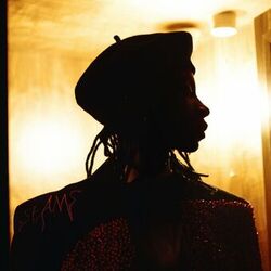 Cover of Seams