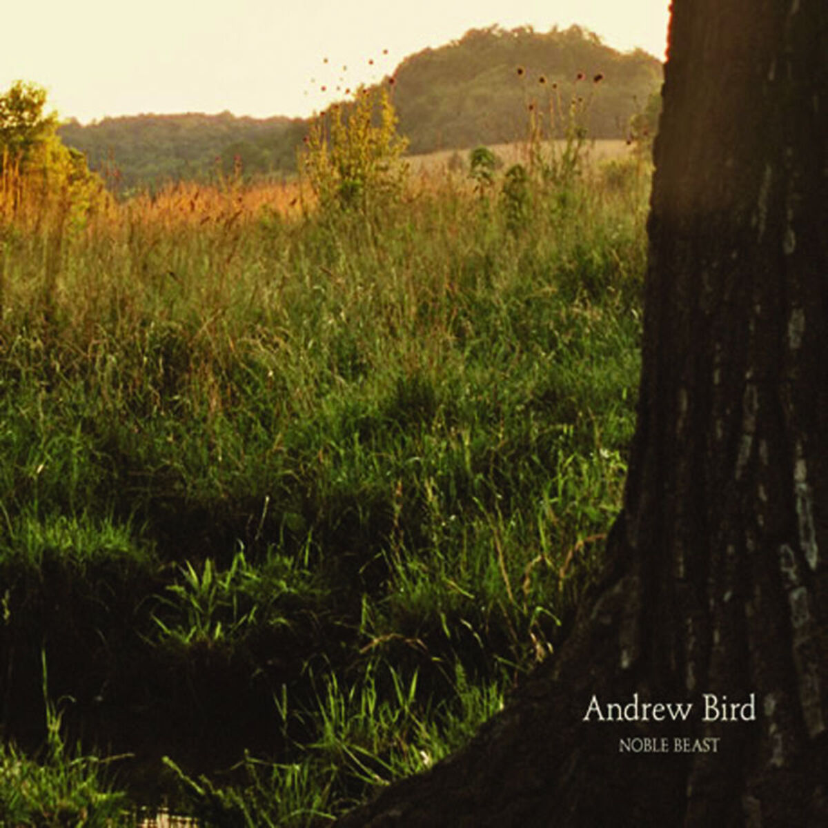 Album cover of Noble Beast