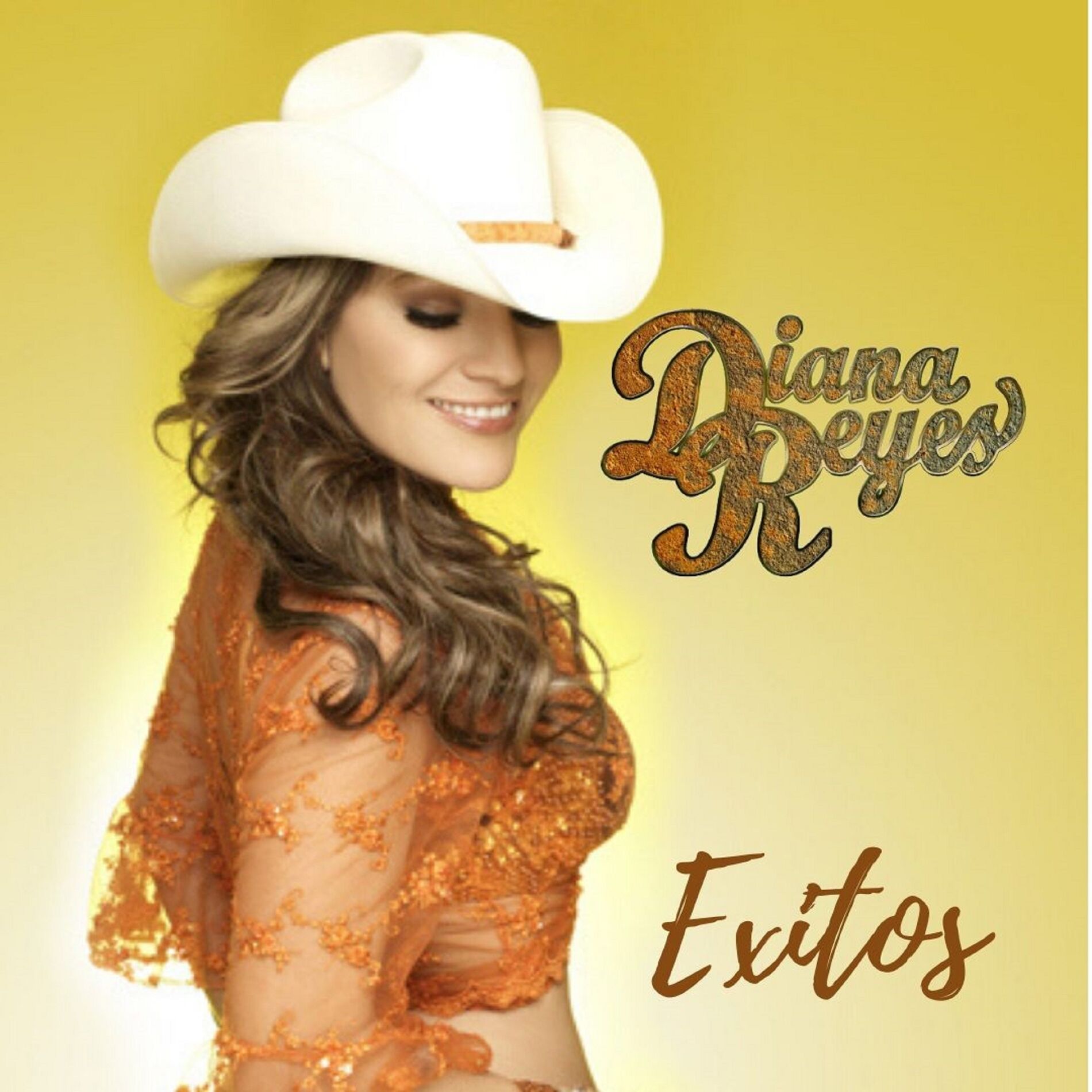 Album cover of Exitos