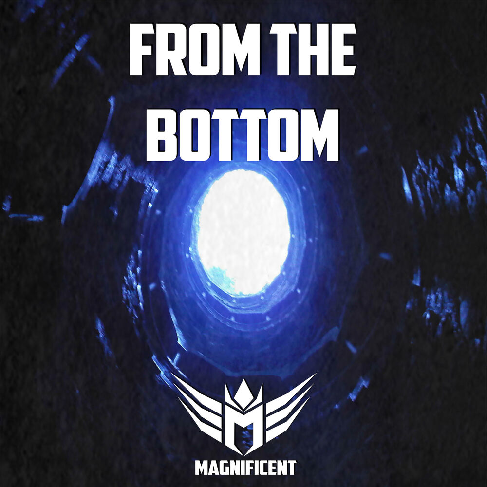 Picture of From the Bottom