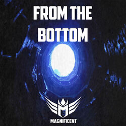 Cover of From the Bottom