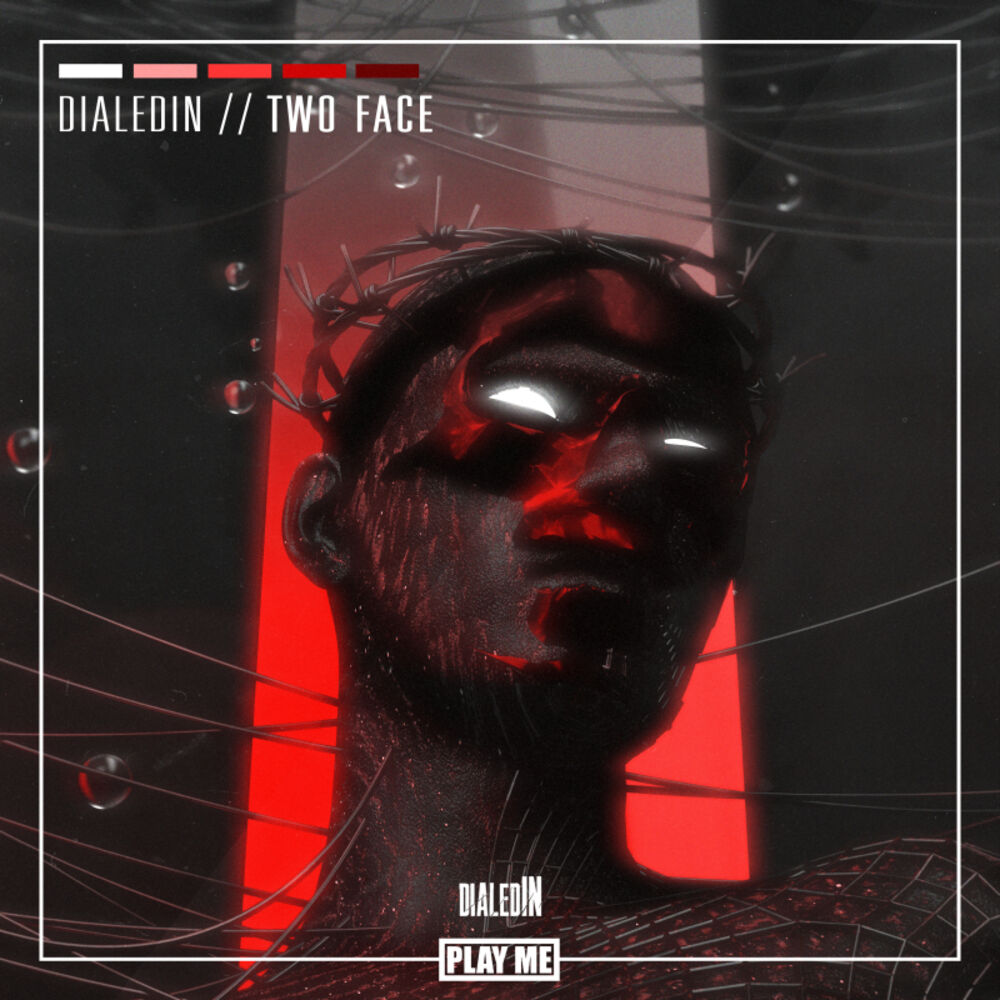 Picture of Two Face