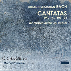 Cover of Bach: Cantatas 146, 33 & 103