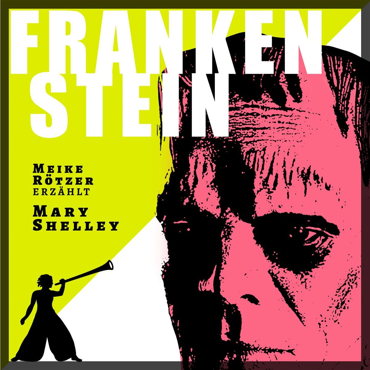 Album cover of Frankenstein - Erzählbuch (Ungekürzt)
