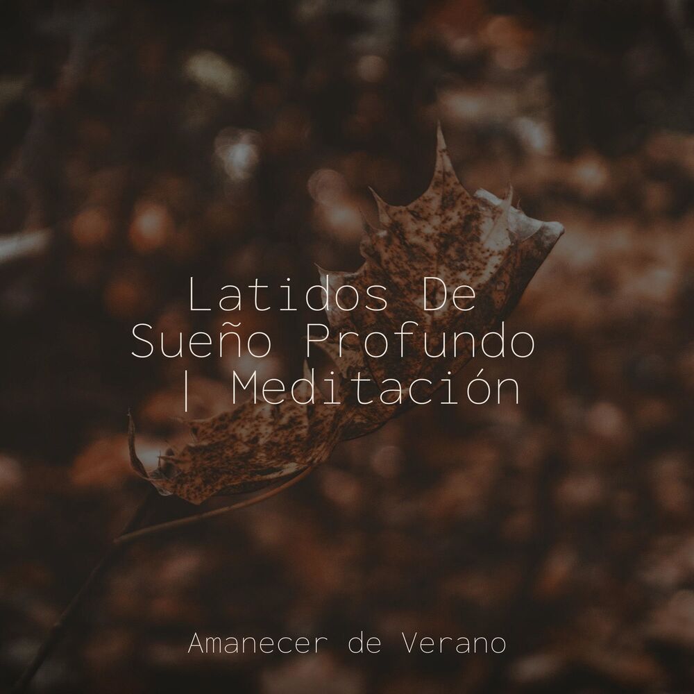 Picture of Latidos De Sueño Profundo | Meditación