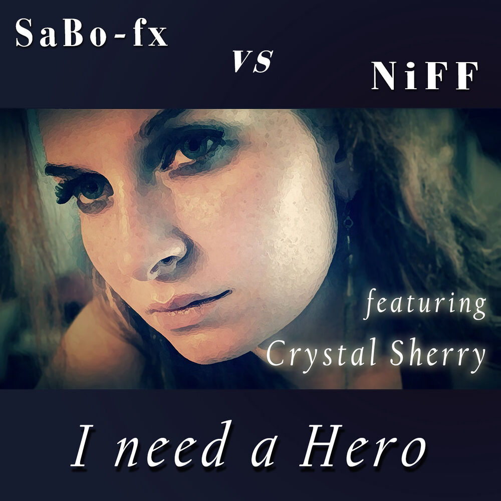Picture of I need a Hero