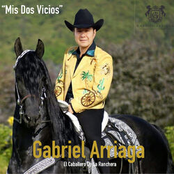 Cover of Mis Dos Vicios