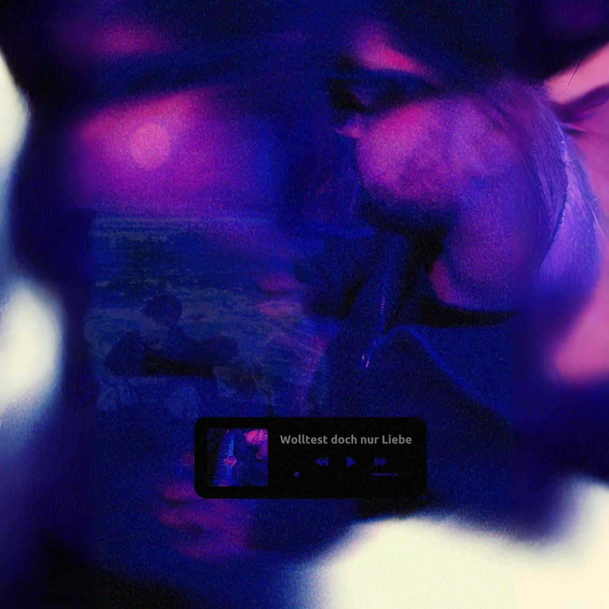 Album cover of Wolltest Doch Nur Liebe