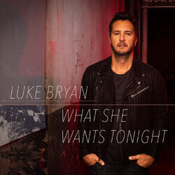 Cover of What She Wants Tonight