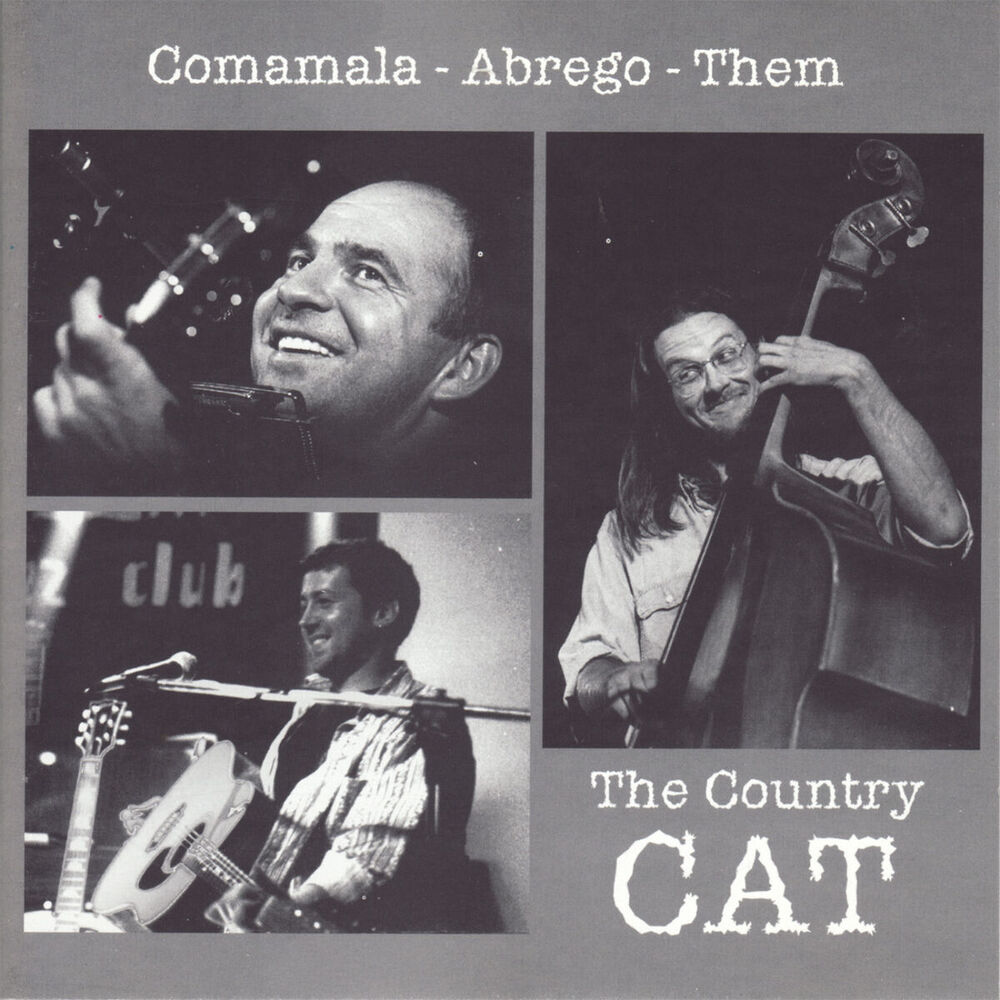 Picture of The Country Cat