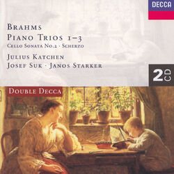 Cover of Brahms: Piano Trio Nos. 1-3/Cello Sonata No.2/Scherzo