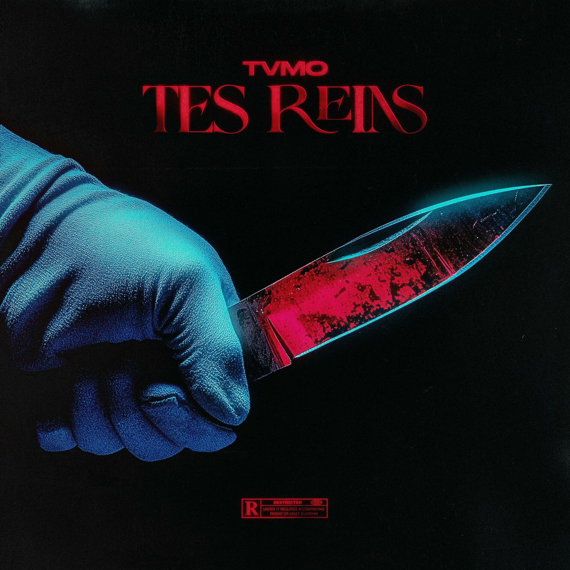 Album cover of Tes Reins