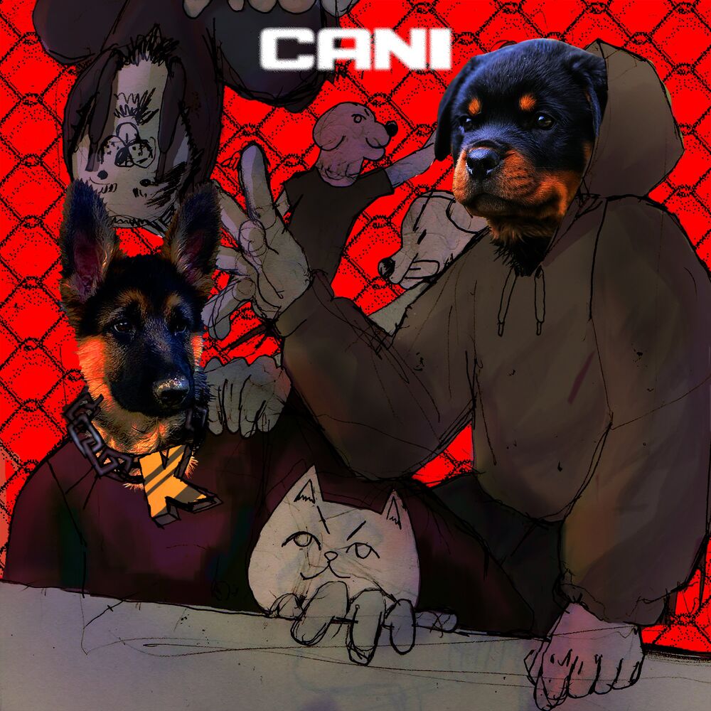 Picture of Cani