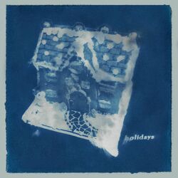 Cover of Holidays