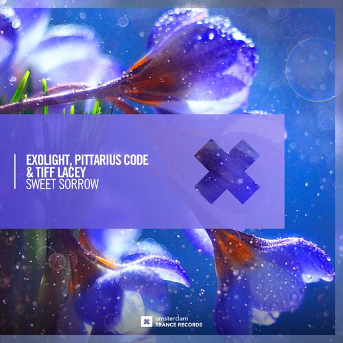  Exolight Vs. Pittarius Code & Tiff Lacey - Sweet Sorrow (2025) 