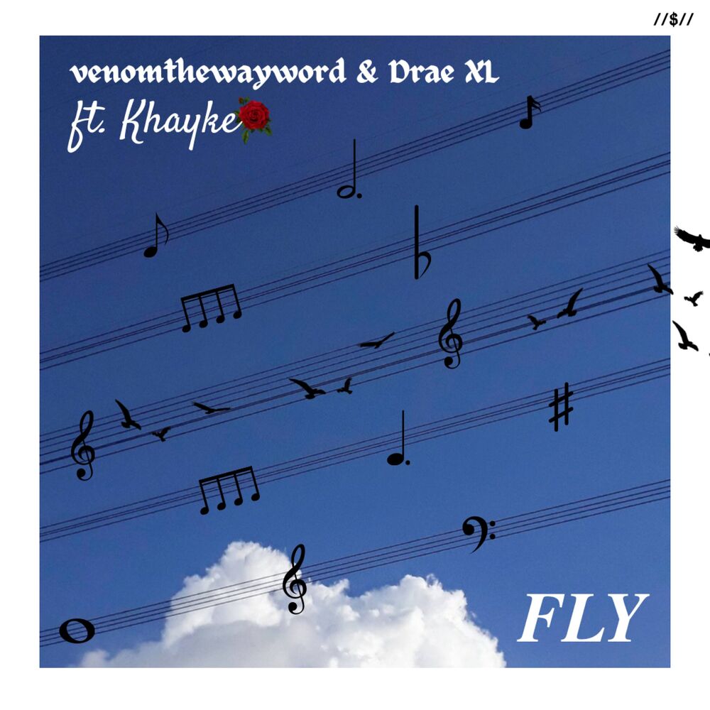 Picture of Fly