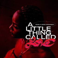 Cover of A Little Thing Called Love