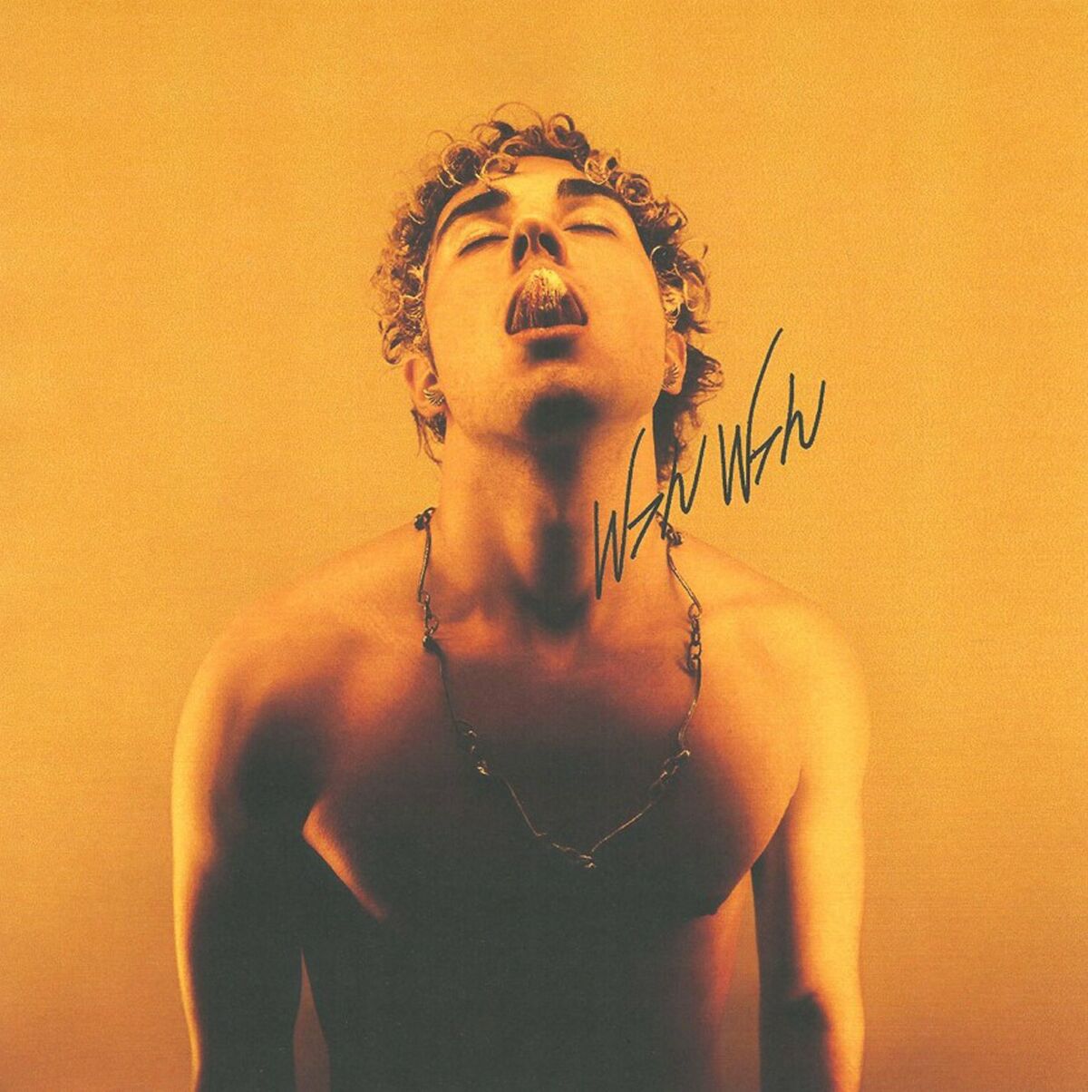 Album cover of Wah Wah