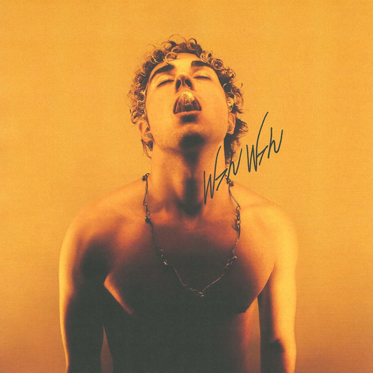 Album cover of Wah Wah