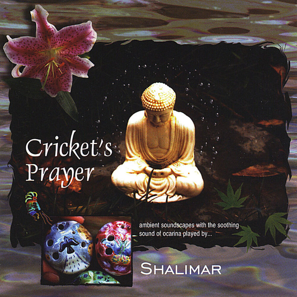 Picture of Crickets Prayer