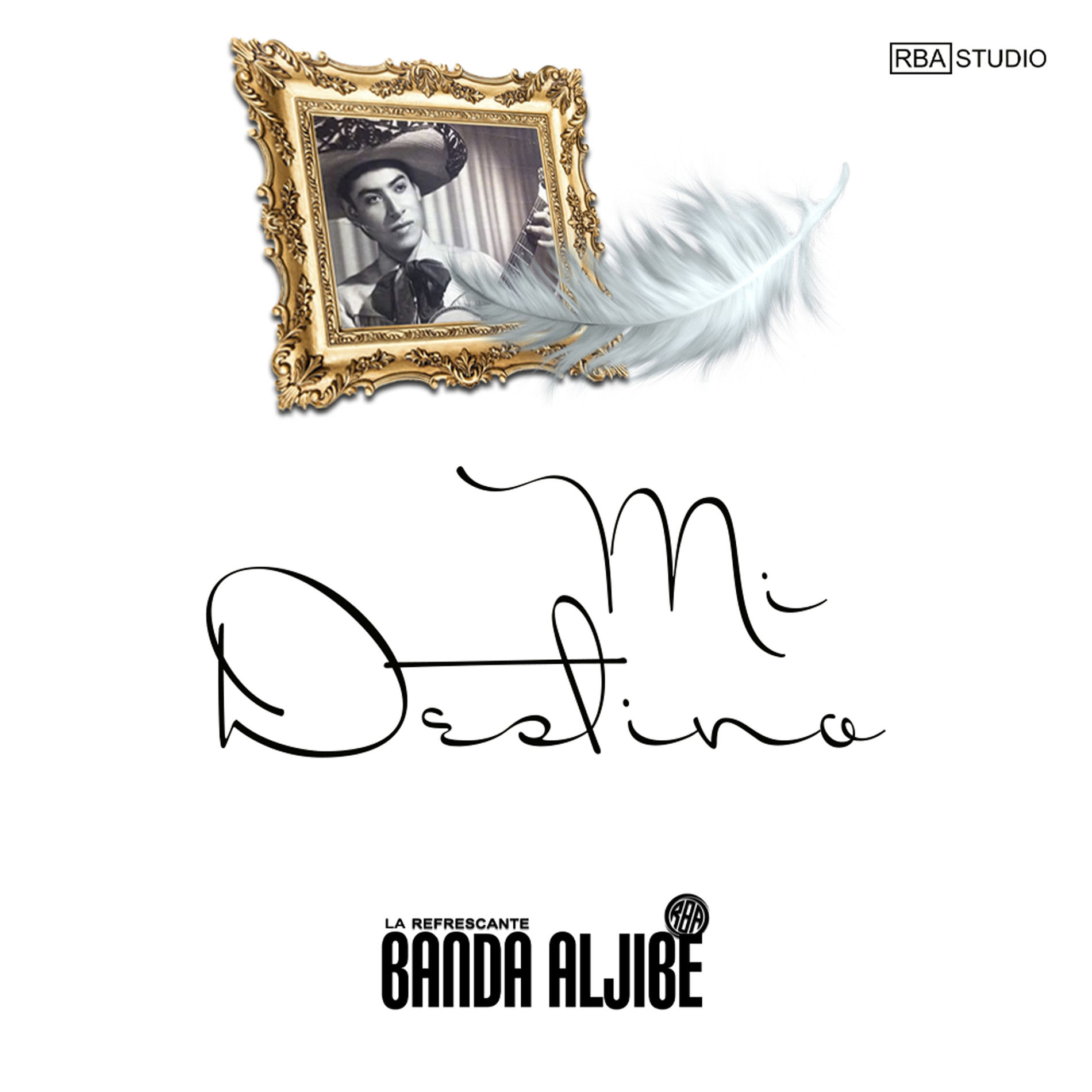 Album cover of Mi Destino