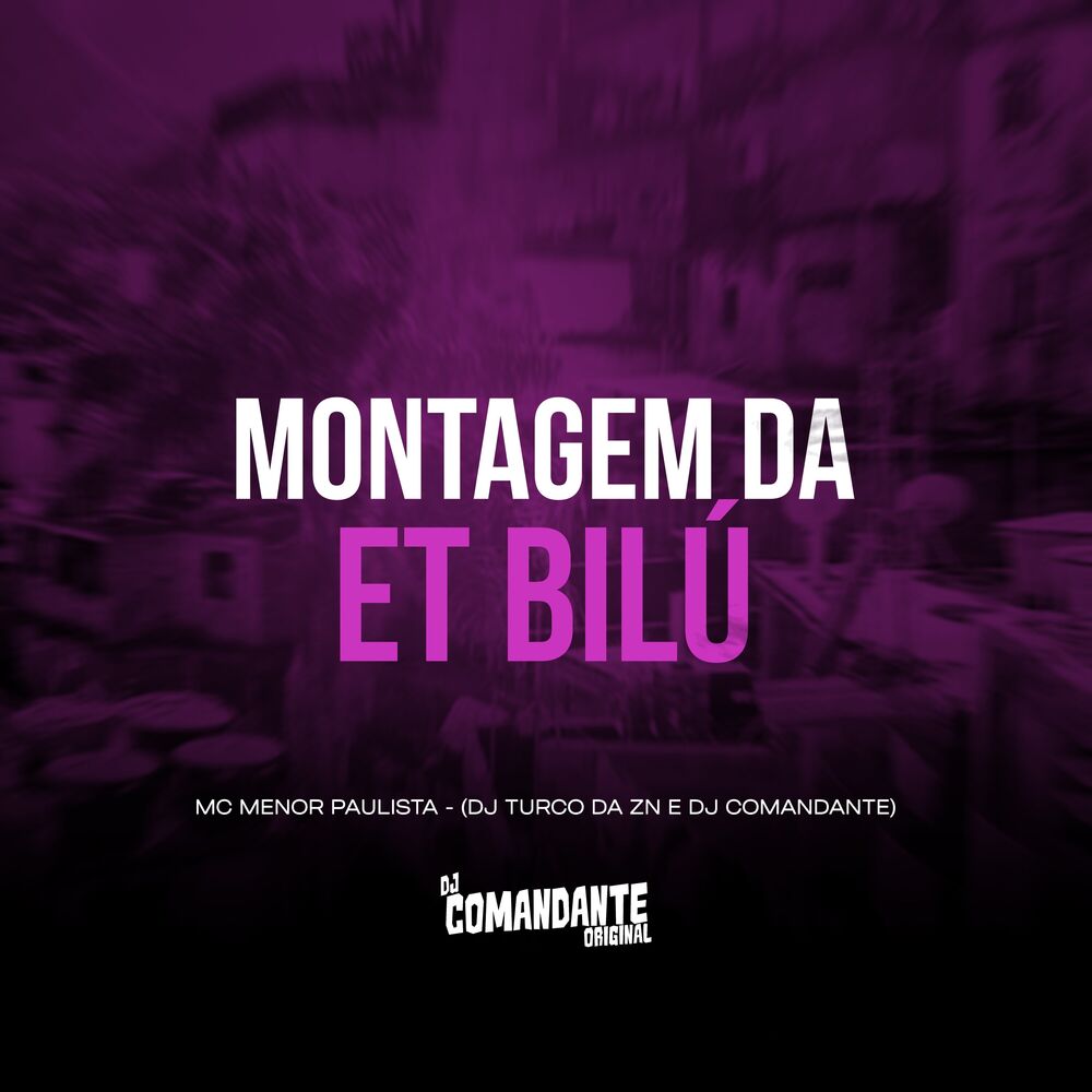 Picture of Montagem da ET Bilú