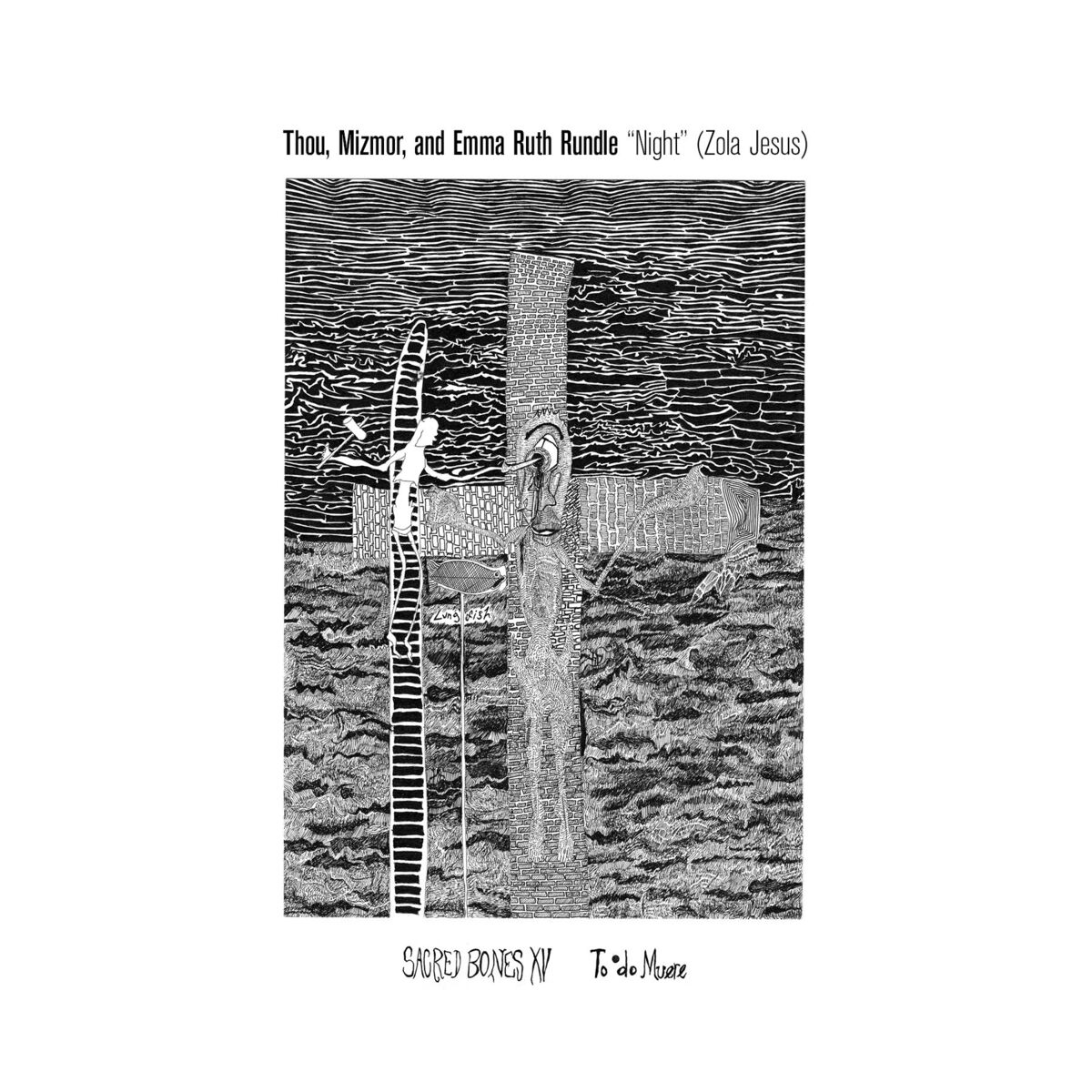Album cover of Night