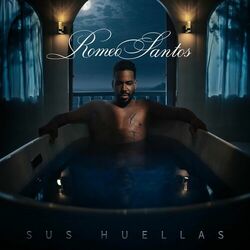 Cover of Sus Huellas