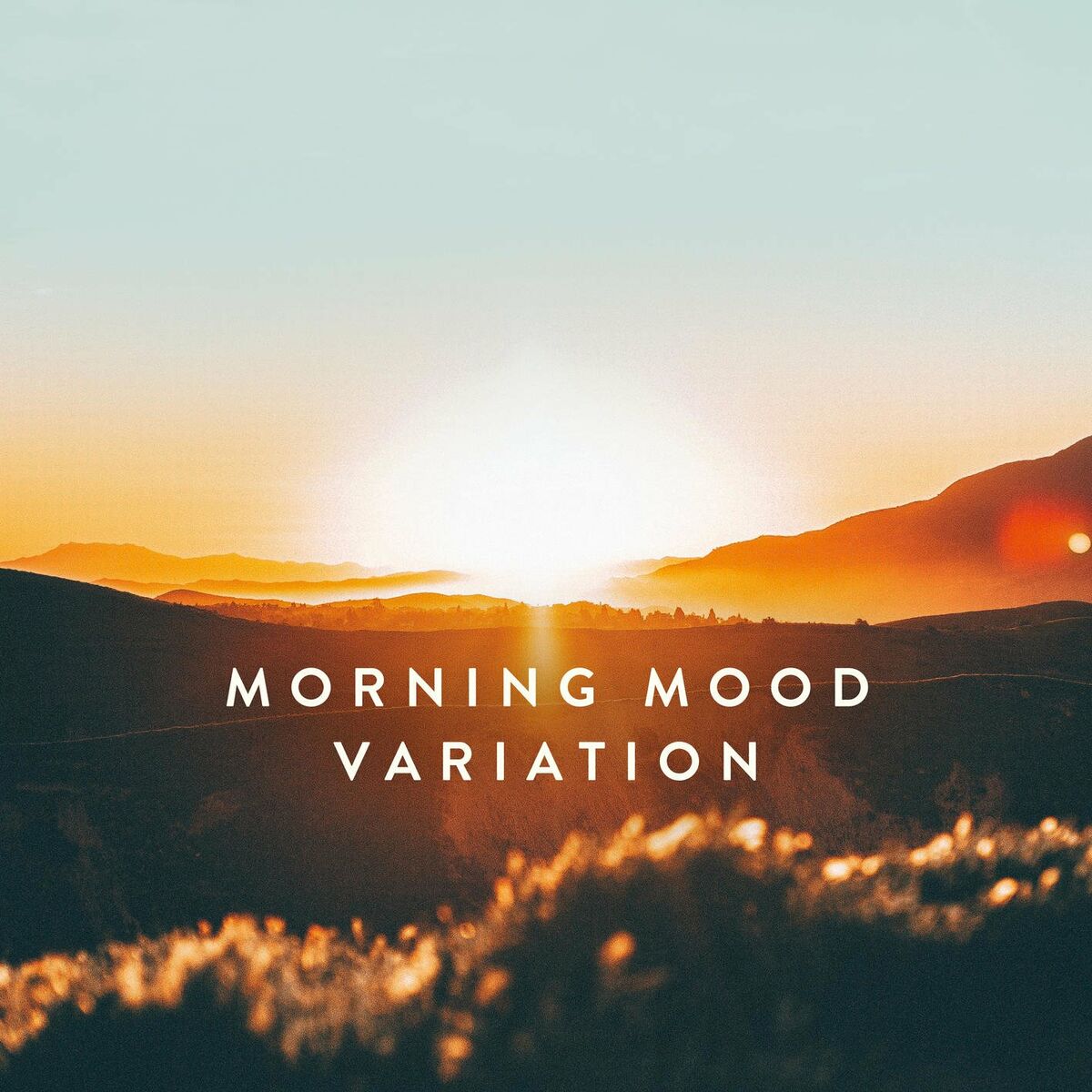 Album cover of Morning Mood Variation (Arr. for Piano from Peer Gynt Suite No.1, Op. 36 by Ketan & Vivan Bhatti)