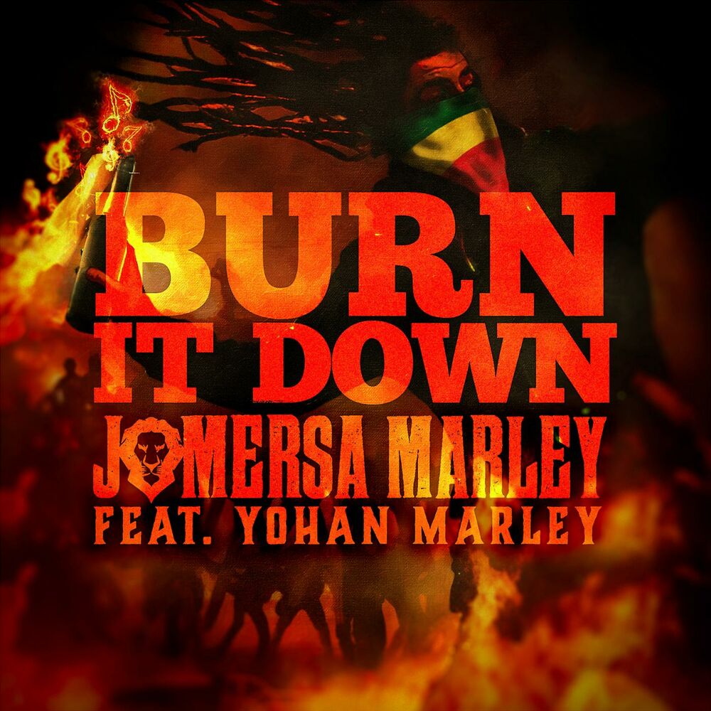 Picture of Burn It Down