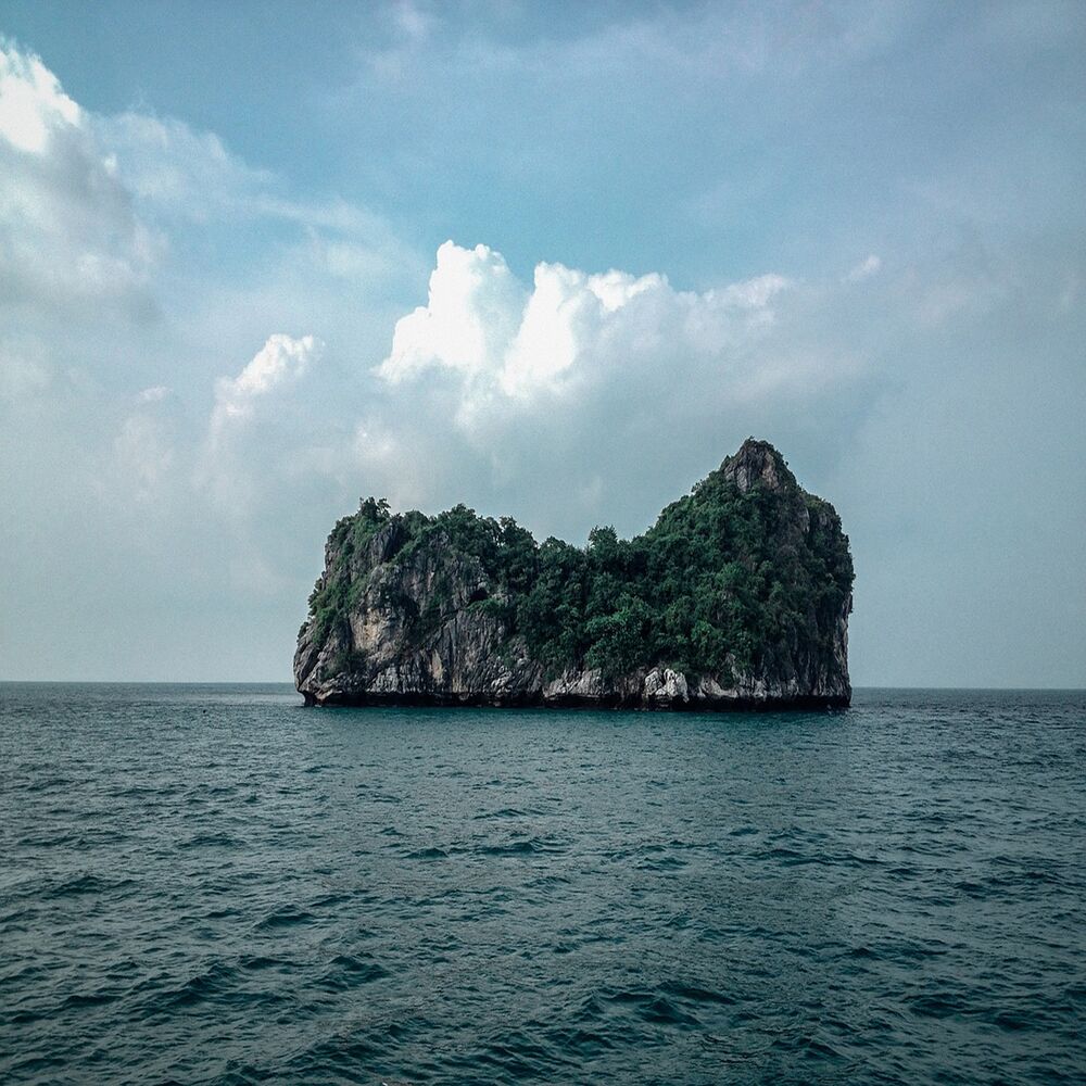 Picture of Tarad