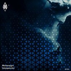 Cover of Introspección