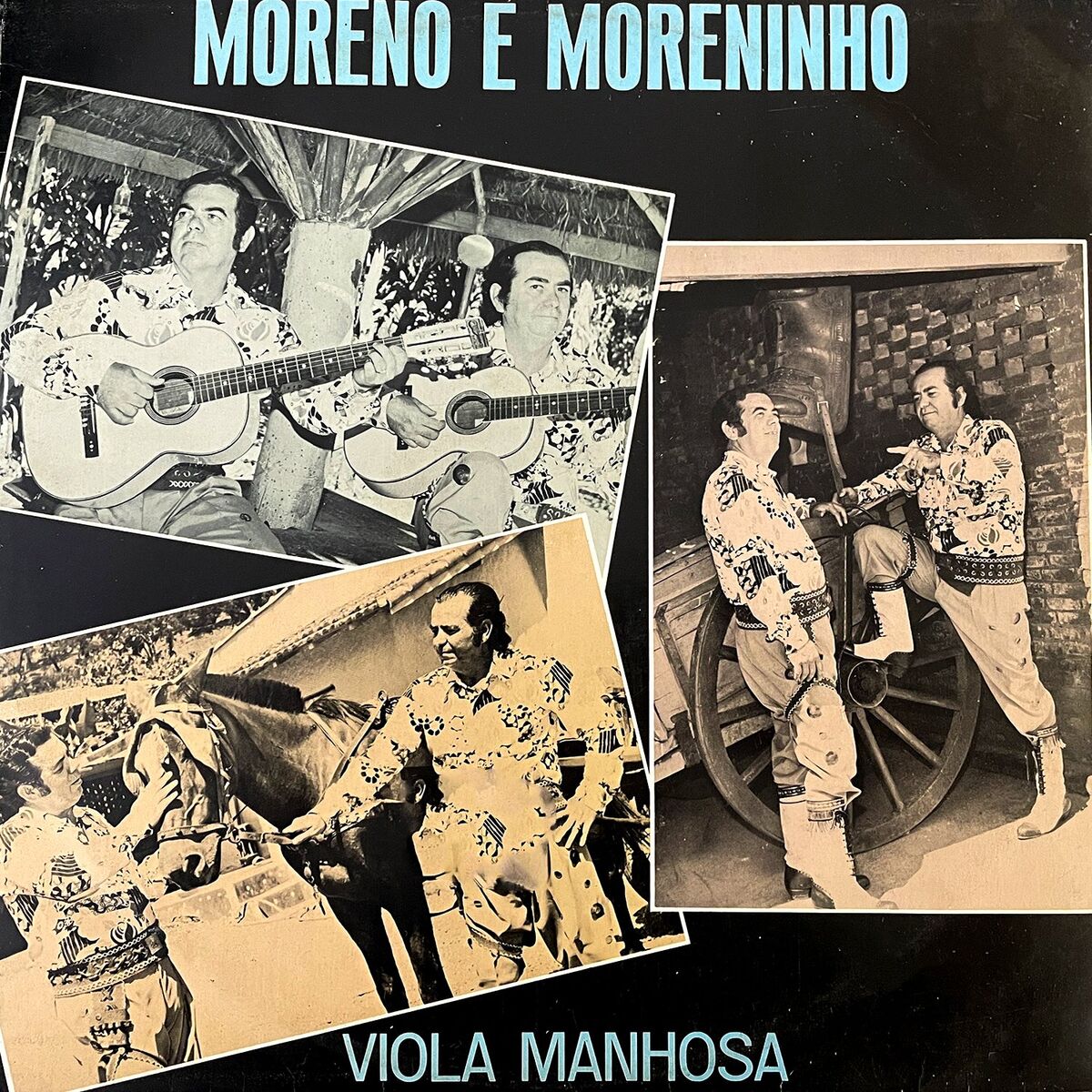 Album cover of Viola Manhosa