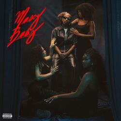 Cover of Masey Baby