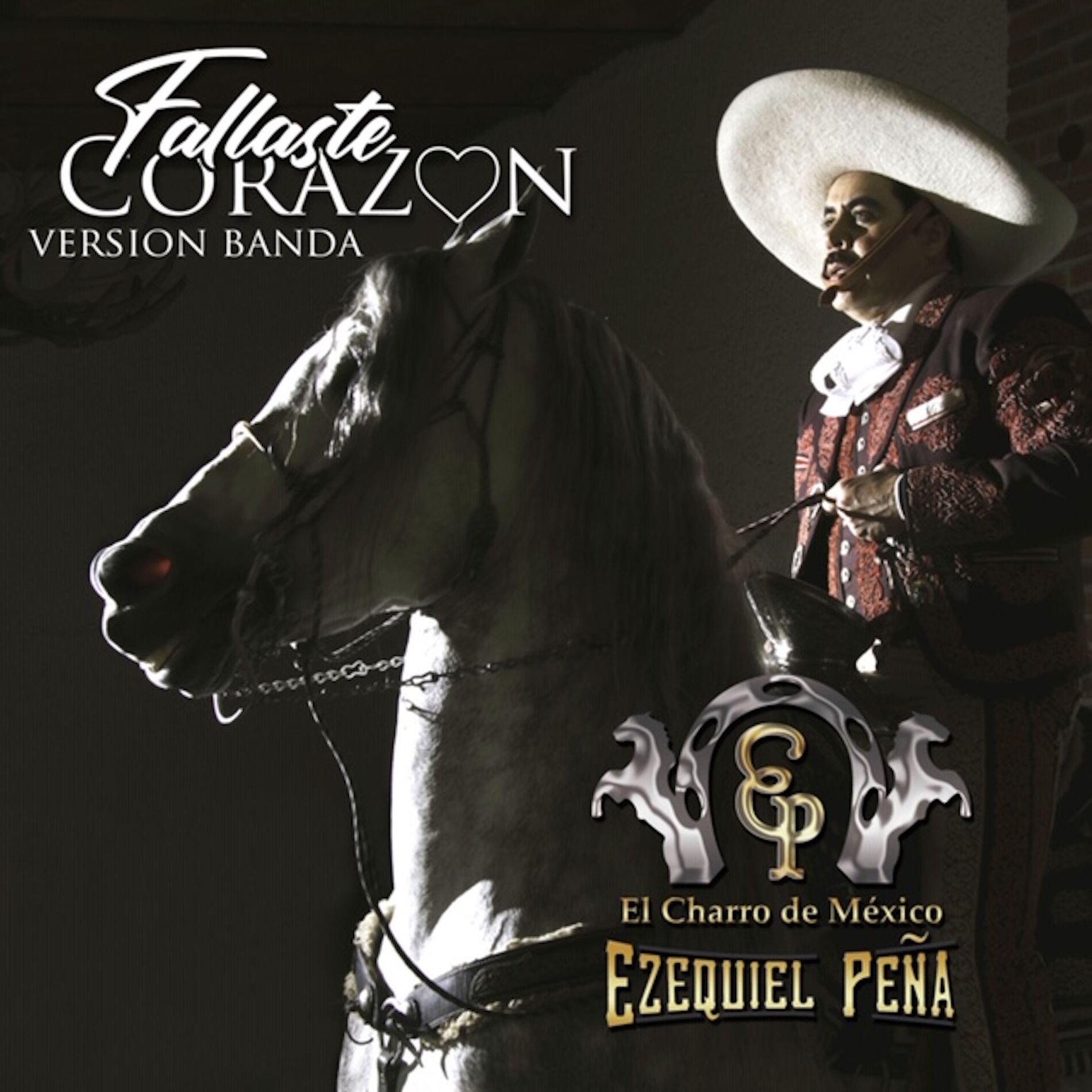 Album cover of Fallaste Corazon (Version Banda)