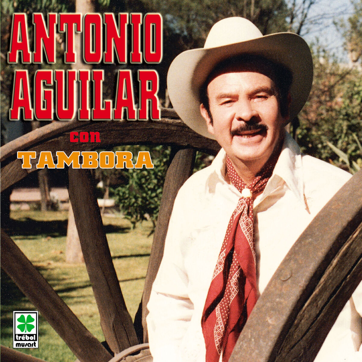 Album cover of El Golpe Traidor